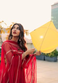 nabha natesh_teluguvox 2